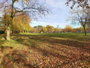 Guaranteed rent Croydon